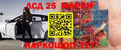 apvp Краснодар