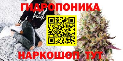 apvp Краснодар