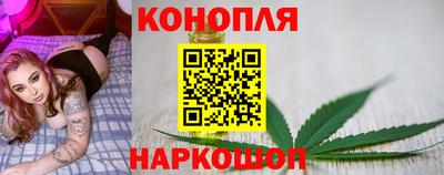 apvp Краснодар