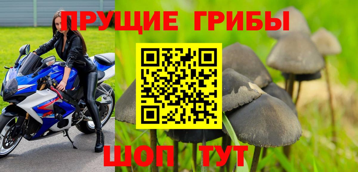Галлюциногенные грибы Magic Shrooms Воткинск