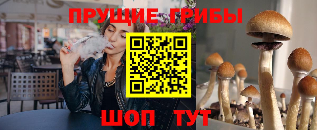 Псилоцибиновые грибы GOLDEN TEACHER  Вход с VPN  Воткинск 
